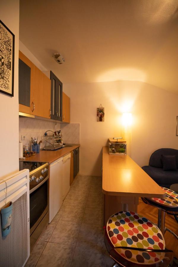 Cushy Apartment Close To City Centre ポドゴリツァ エクステリア 写真