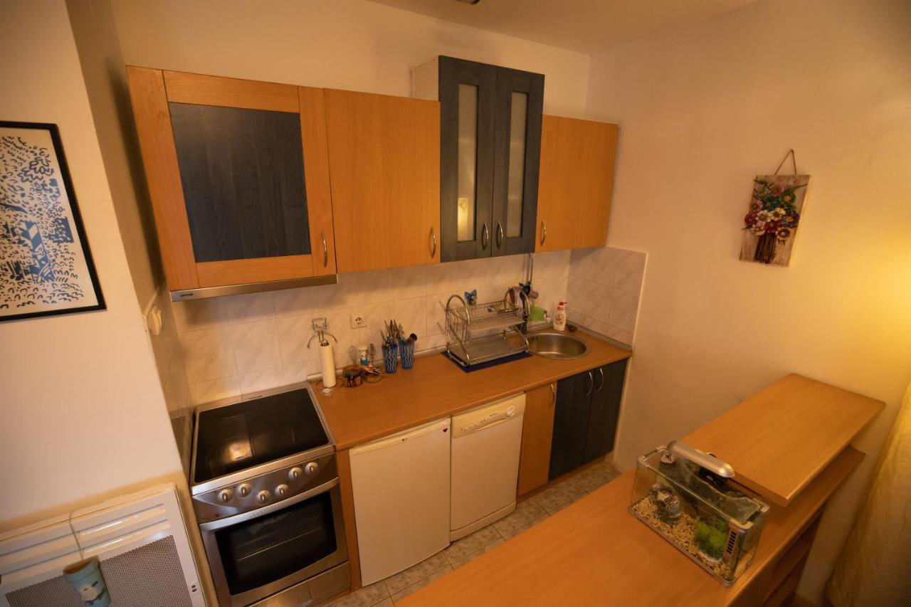 Cushy Apartment Close To City Centre ポドゴリツァ エクステリア 写真